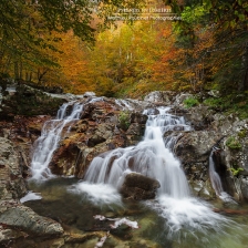 Au coeur de l'Automne