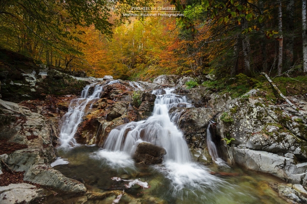 Au coeur de l'Automne