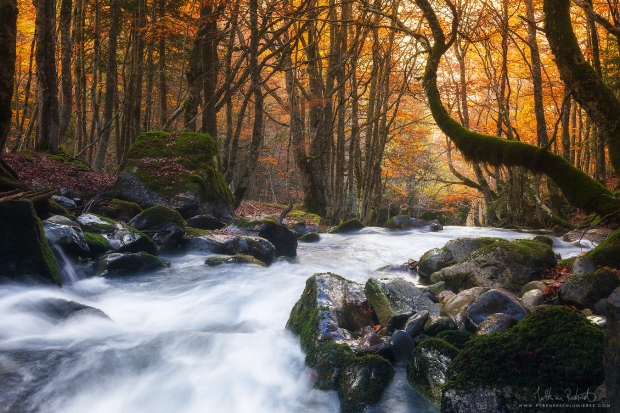 20161026_vallee_ossau006_mr