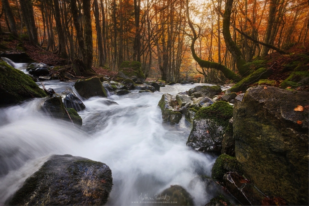 20161026_vallee_ossau007_mr