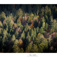 20201021_bazes012_mr