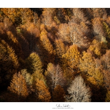 20201021_bazes014_mr