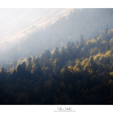 20211010_biousartigues001_mr