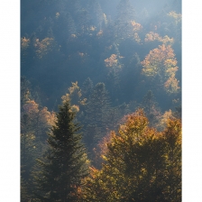 20211010_biousartigues002_mr