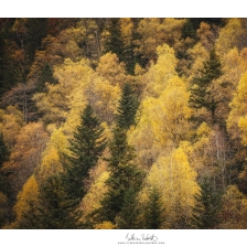 20211113_vallee_ossau002_mr