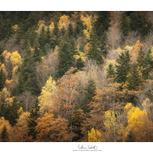 20211113_vallee_ossau003_mr