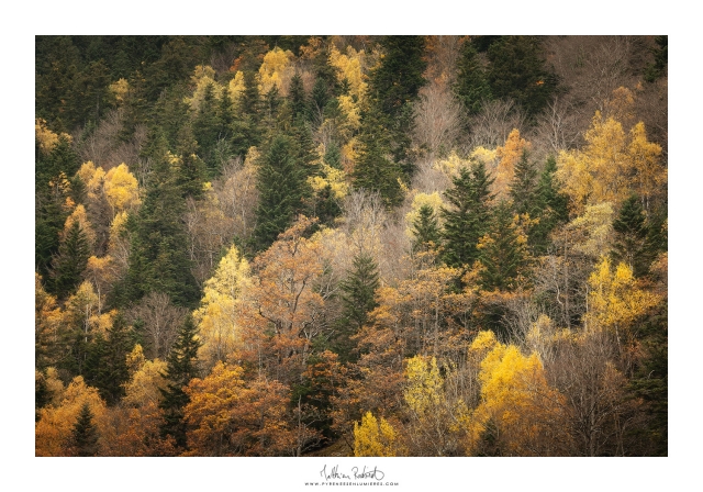 20211113_vallee_ossau003_mr