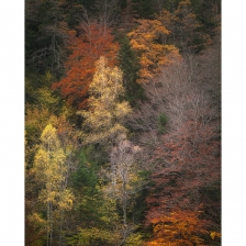 20211113_vallee_ossau004_mr