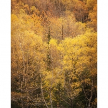 20211113_vallee_ossau005_mr