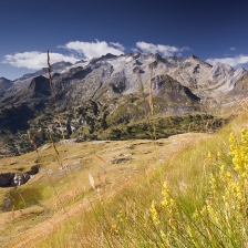 Quelques fleurs pour les Monts-Maudits