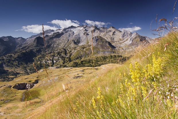 Quelques fleurs pour les Monts-Maudits