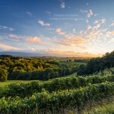 Vignoble du Jurançon