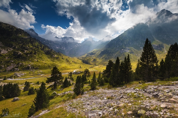 20160725_wallon001_mr