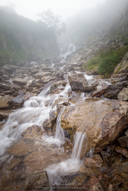 20170806_ayous010_mr