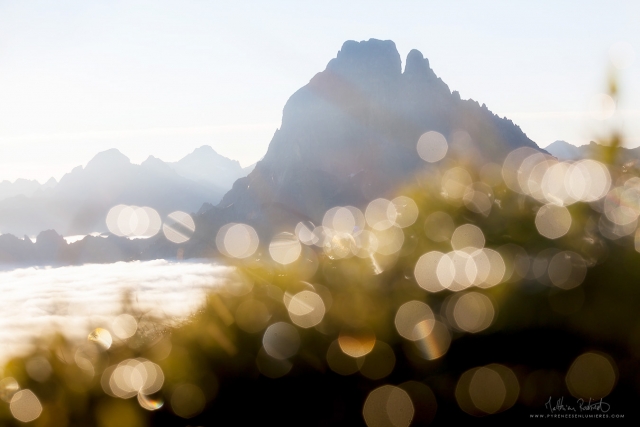 20180818_col_ayous009_mr_1568459726