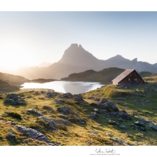 20190816_ayous011_mr