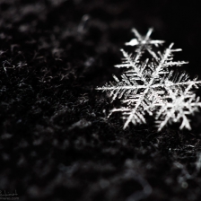 Cristal de neige