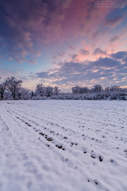 Snowy fields