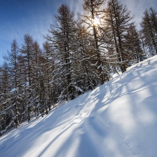 Dans la poudreuse