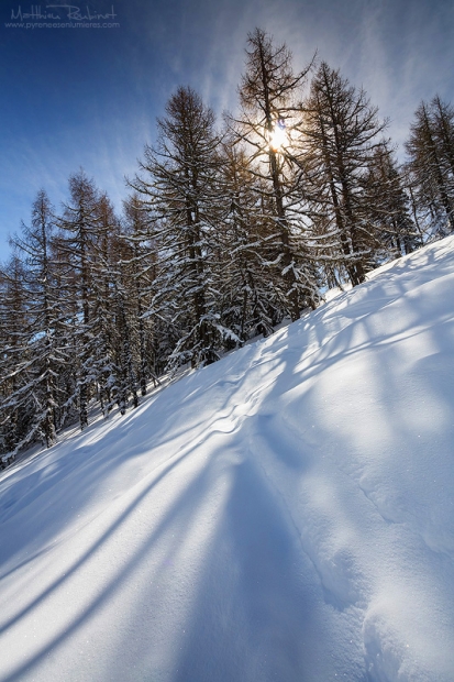 Dans la poudreuse