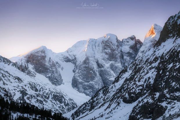 20140112_gaube015_mr