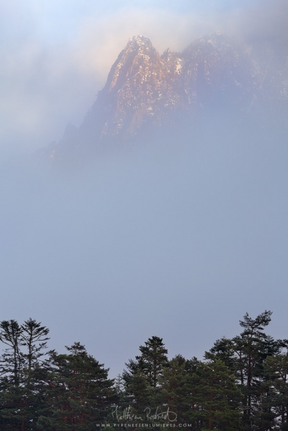 20171111_plateau_du_clot009_mr