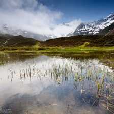 Printemps Pyrénéen