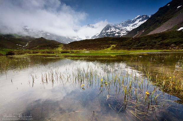 Printemps Pyrénéen