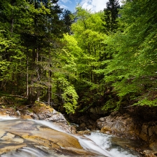 Au fil de l'eau