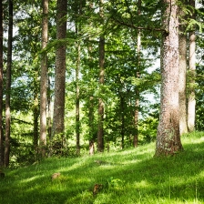 Les Mélèzes du Benou