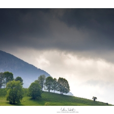 20150617_benou006_mr