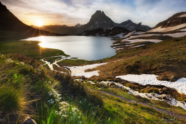 20170527_ayous003_mr