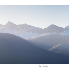 20210328_benou001_mr