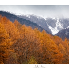 20211113_benou001_mr