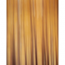 20211113_benou005_mr