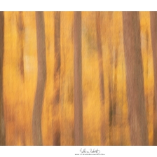 20211113_benou006_mr