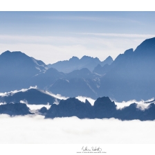 20180818_col_ayous013_mr