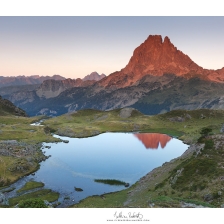 20190816_ayous014_mr